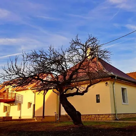 Amande House & פוניארצוושהג'